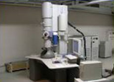SCA-20