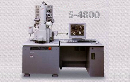 SCA-6