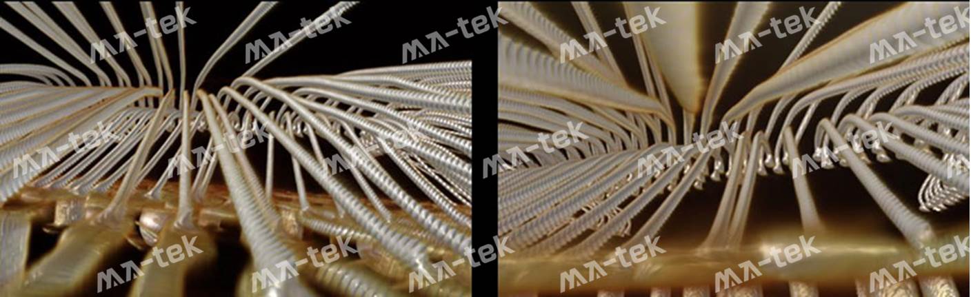 3D-XRAY-4-4 3D-XRAY-4-4