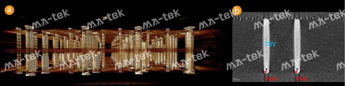 3D-XRAY-7-7 3D-XRAY-7-7