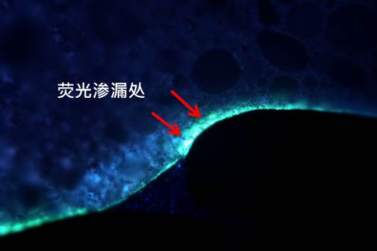UV-OM-002-cn UV-OM-002-cn