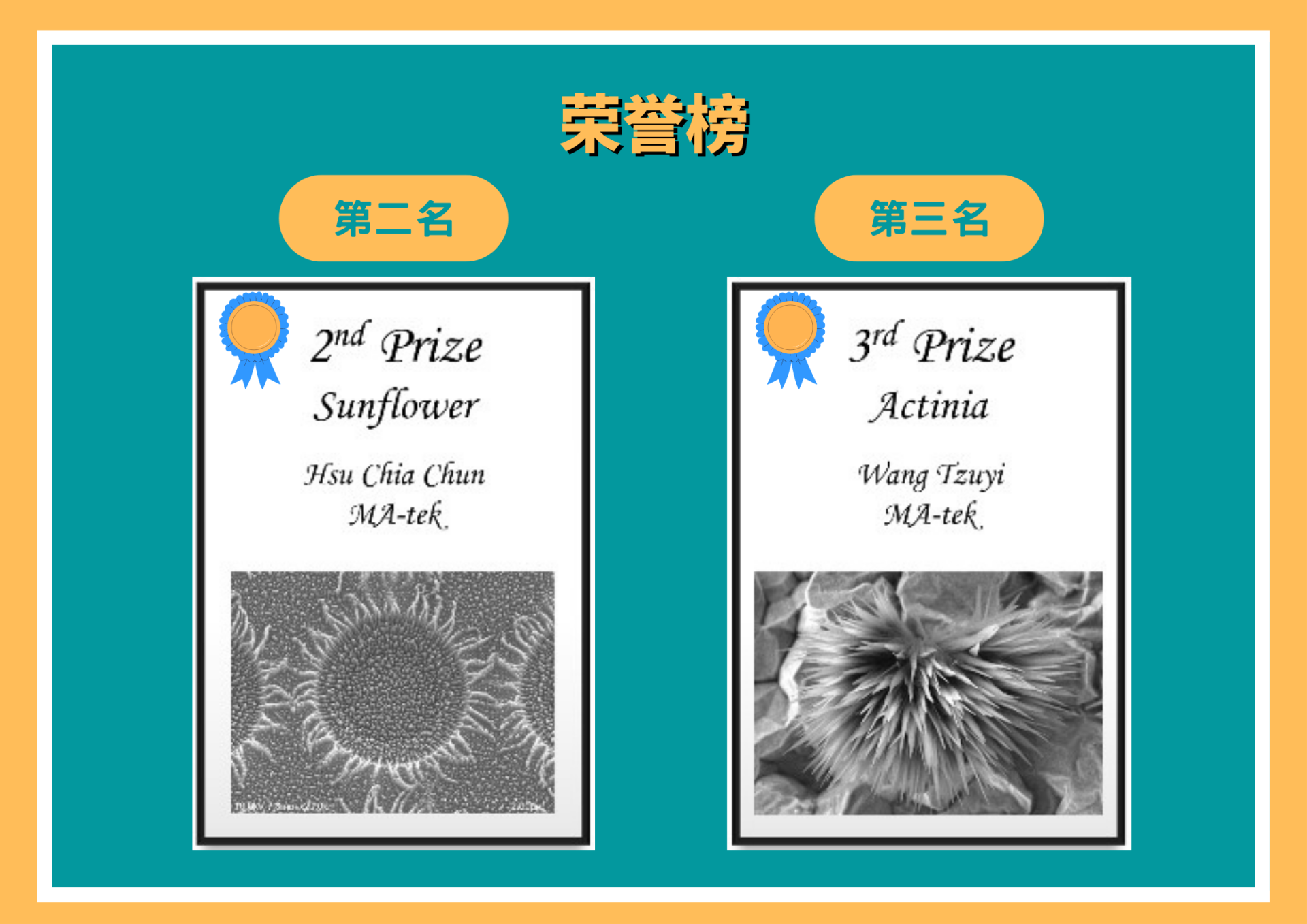 winner-CN winner-CN